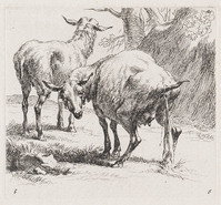 KG 04472
<br/>
Plassend schaap
<br/>
<em>Berchem, Nicolaes (1621/2-1683)</em>